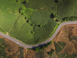 Corn industry on the Mountain in Thailand.