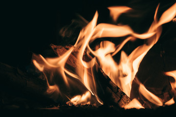 The fire