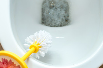 Brushing the toilet close-up
