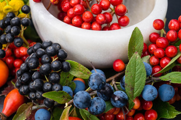 verschiedene Beeren