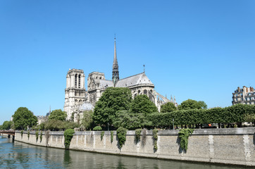 Fototapeta na wymiar Notre Dame viewed over the river Seine Paris France