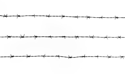 silhouette of the barbed wire on white background