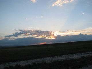 sunset in the savanna