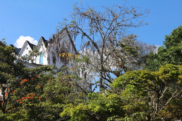 Fototapete bei efototapeten.de bestellen   