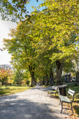 Public Victorian City Garden in North America