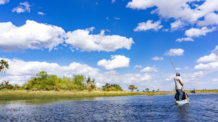 Boat(canoe) sailing activity tourism, Okavango Delta, Botswana, Africa