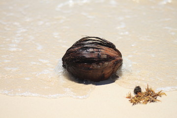 Coco beach
