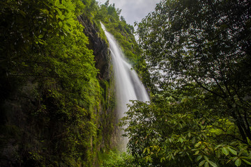 big waterfall through the trees