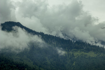 fog and clouds in the mountain valley and forest