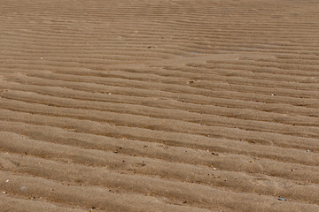 Sand rippled textured pattern created by low tide. Abstract background