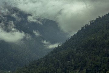 Fototapeta premium fog and clouds in the mountain valley
