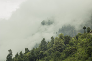 fog in the green stone hills