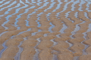 Sand rippled textured pattern created by low tide. Abstract background