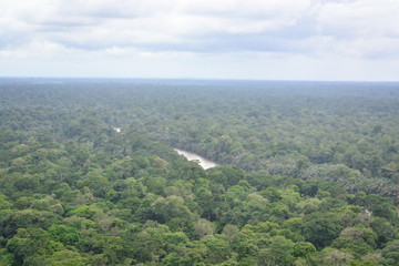 jungle landscape view from the mountain