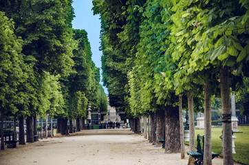 Luxembourg Garden(Jardin du Luxembourg) in Paris, France - obrazy, fototapety, plakaty