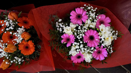 Couple of multicolored gerbera bouquets at trade fair, assortment of flowers