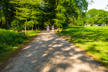 Balade en forêt