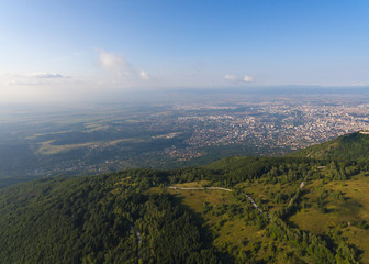 Obraz premium Sunset Forest