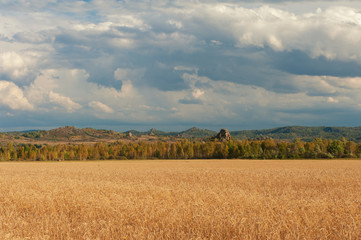 Plakat wheat field in mountains on sunset