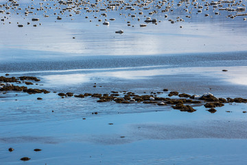 Island im Winter