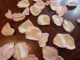 Petals of a fresh pink rose on a wooden table