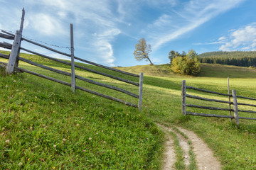 Fototapeta premium Wanderweg durch eine Bergwiese im Zillertal