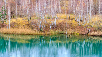 Bare autumn birch forest is reflected in water of calm blue lake.