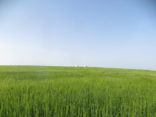 Obraz premium A mausoleum on the outskirts of the city of Settat Morocco
