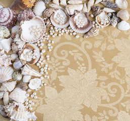 Fototapeta na wymiar Pearls and shells 