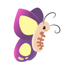 cute butterfly flying