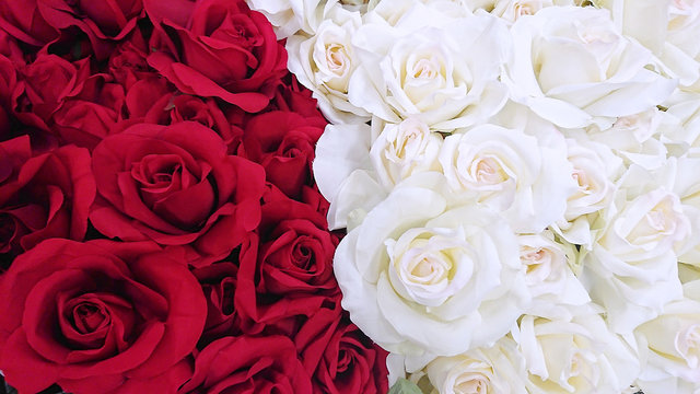  Beautiful red and white rose bouguet background.