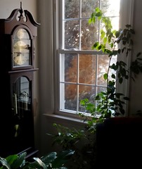 Window