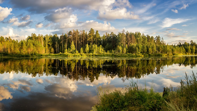 Панорама летнего вечернего пейзажа на Уральском озере с елями на берегу, Россия, август © 7ynp100