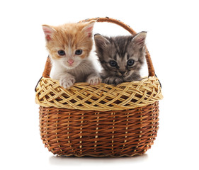 Obraz na płótnie Canvas Two small kittens in the basket.