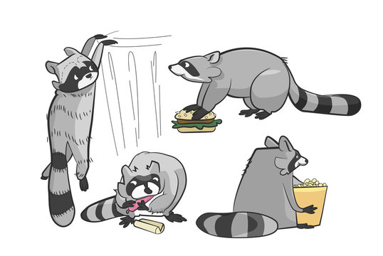 funny cartoon raccoons causing mischief