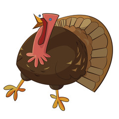 funny cartoon turkey 