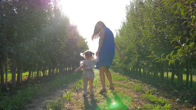 harvest season in apple orchard, happy family walking between rows of trees at autumn garden in bright sunlight