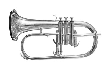 Naklejka premium trumpet