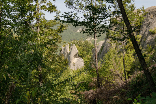 Salti del Diavolo, Berceto (Appennino Emiliano, Italia)