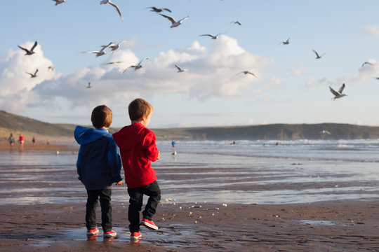 Two adorable kids, feeding the seagulls on the beach - Powered by Adobe