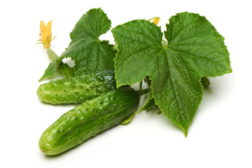 Freshly salted crispy Cucumbers with leaves, isolated on white background.