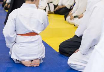 People in kimono and hakama sitting in a line on tatami