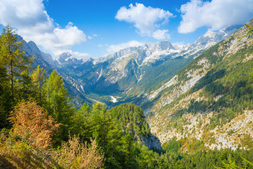 Fototapeta na wymiar Alps mountains tranquil summer view in Slovenia