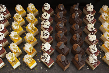 Small assorted cakes lined up in rows on dessert buffet