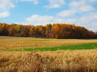 Fall Season Lancaster County Pennsylvania 5
