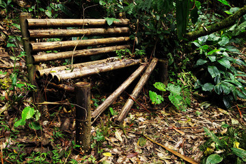 Old broken bench on a jungle path in Cordiliera Central, Colombia, South America