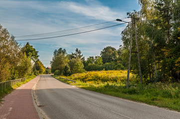 Pusta droga asfaltowa przy lesie, Małogoszcz © olekgraf