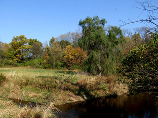 Fall Season Lancaster County Pennsylvania 1