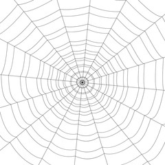 concentric white web on a white background
