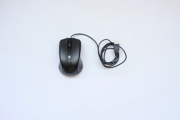 A mouse of computer